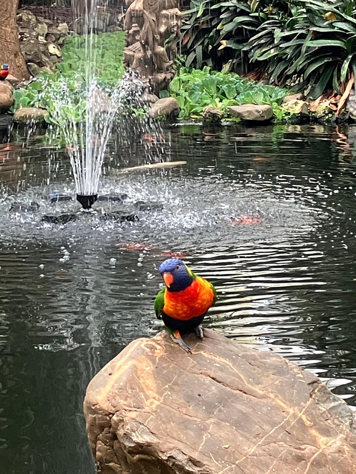 Foto 43 bij Artikel Uitje naar de Orchideenhoeve in Luttelgeest.